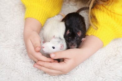 Photo of Little girl with cute rats at home, closeup