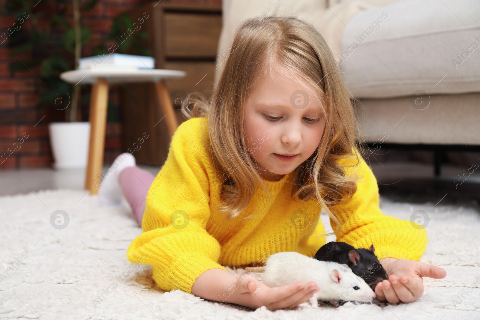 Photo of Little girl with cute rats on floor at home