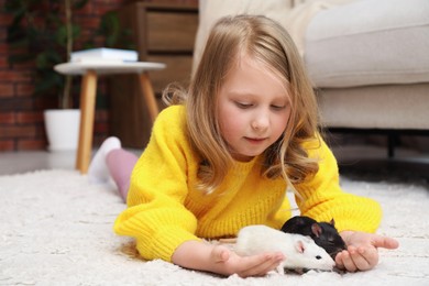 Photo of Little girl with cute rats on floor at home