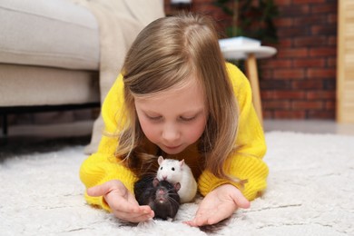 Photo of Little girl with cute rats on floor at home