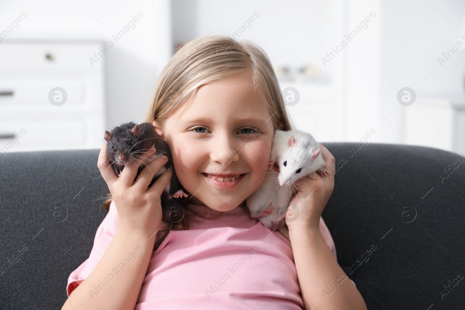 Little girl with cute rats on sofa at home Photo of Little girl with cute rats on sofa at home