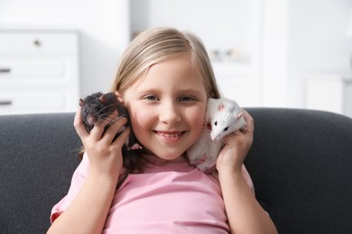 Photo of Little girl with cute rats on sofa at home