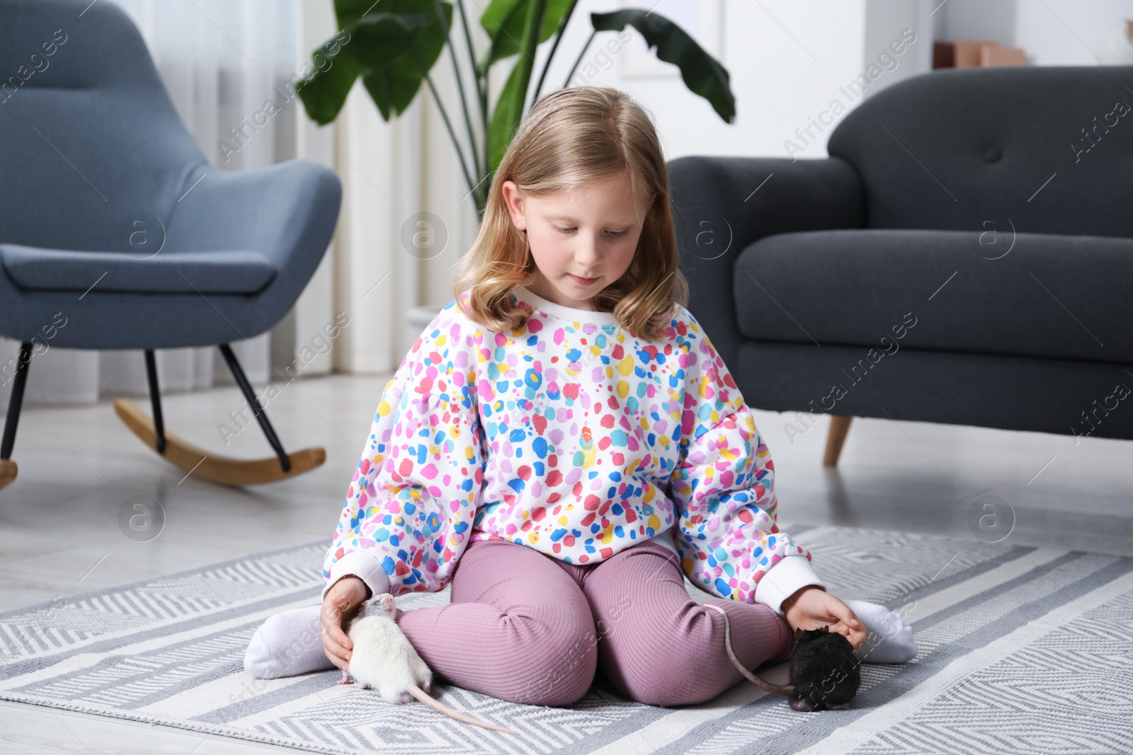 Little girl with cute rats on floor at home Photo of Little girl with cute rats on floor at home
