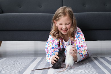 Photo of Little girl with cute rats on floor at home