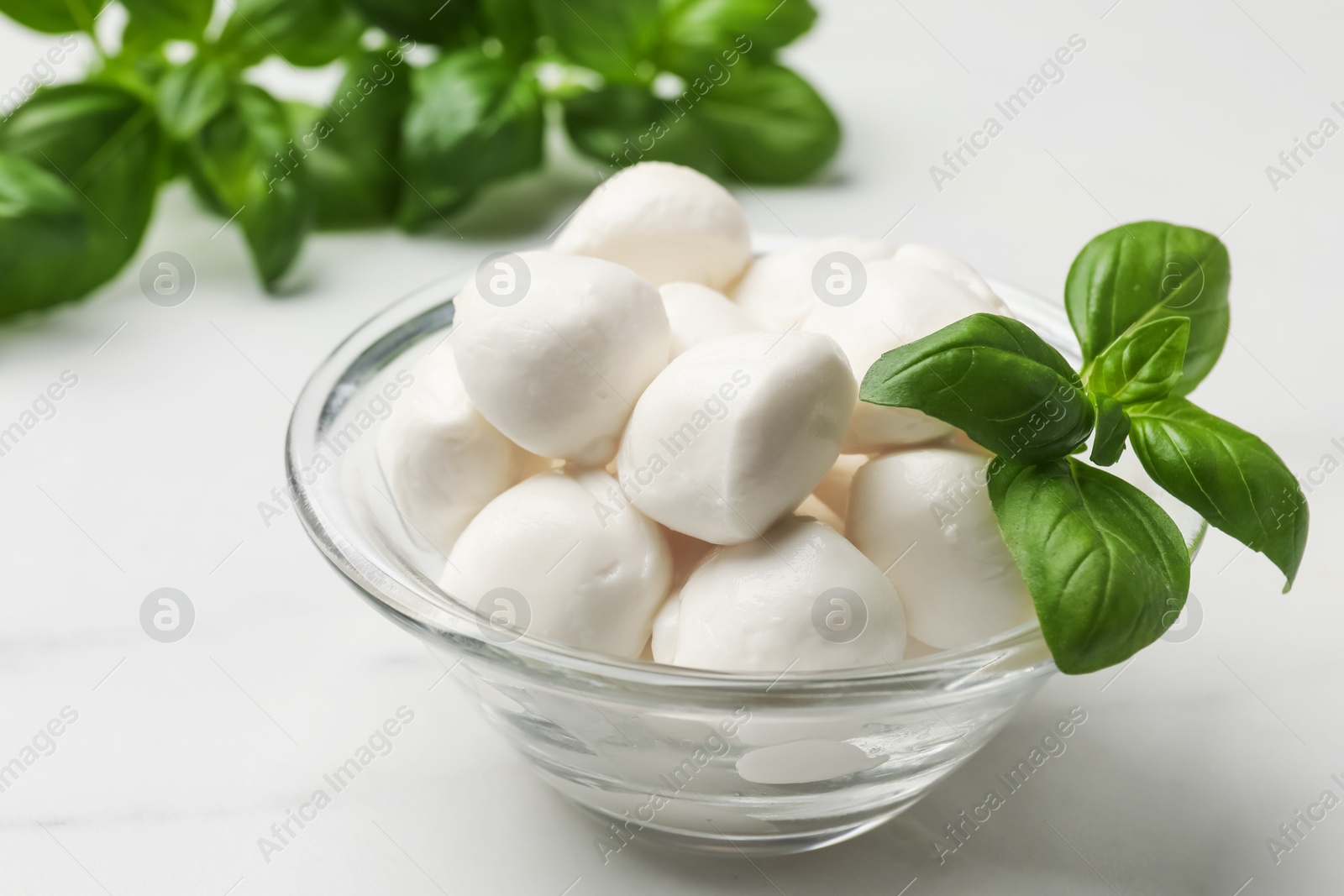 Tasty mozzarella cheese balls in bowl and basil on white marble table, closeup Photo of Tasty mozzarella cheese balls in bowl and basil on white marble table, closeup
