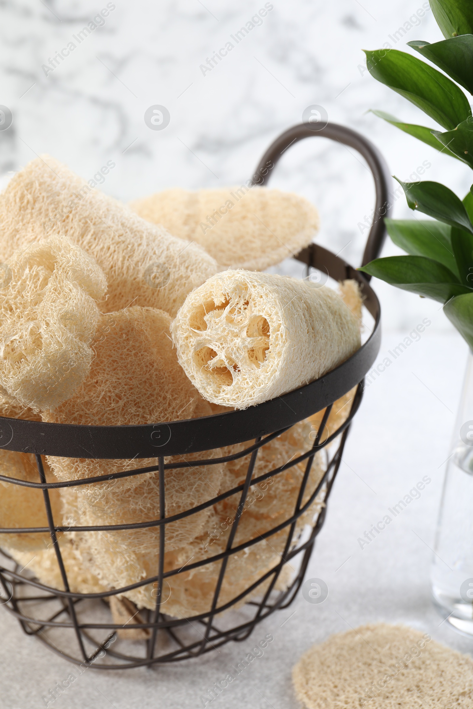 Different loofah sponges in basket on light grey table, closeup Photo of Different loofah sponges in basket on light grey table, closeup
