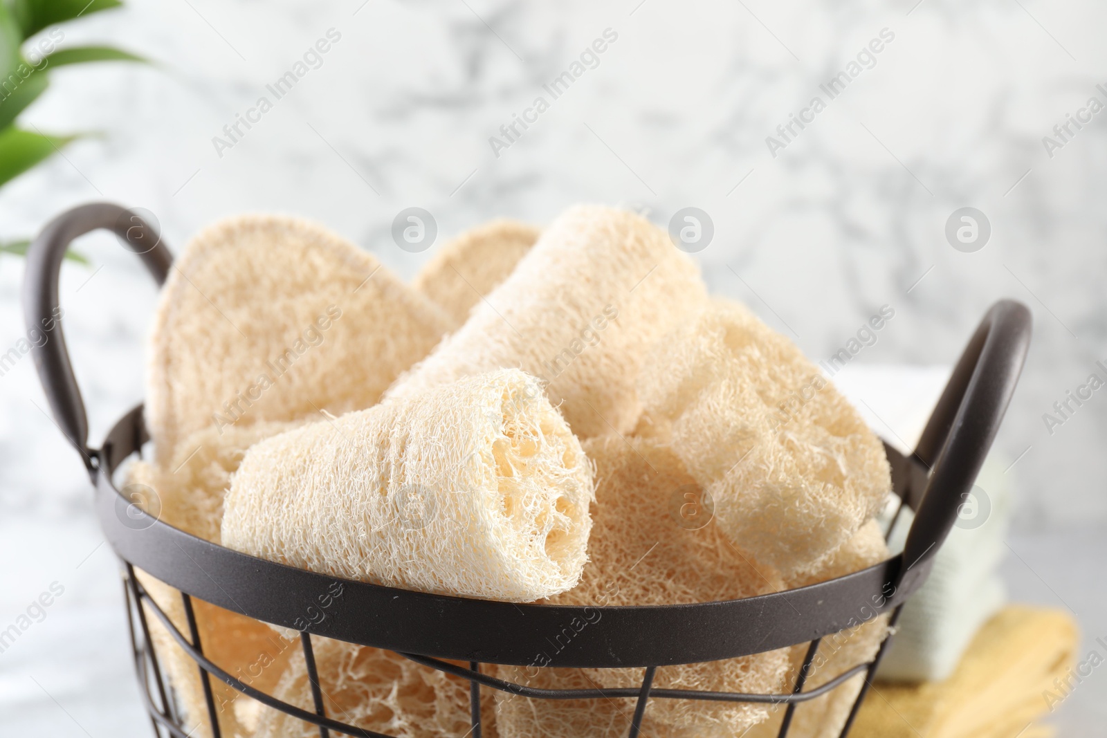 Different loofah sponges in basket and towels on table, closeup Photo of Different loofah sponges in basket and towels on table, closeup