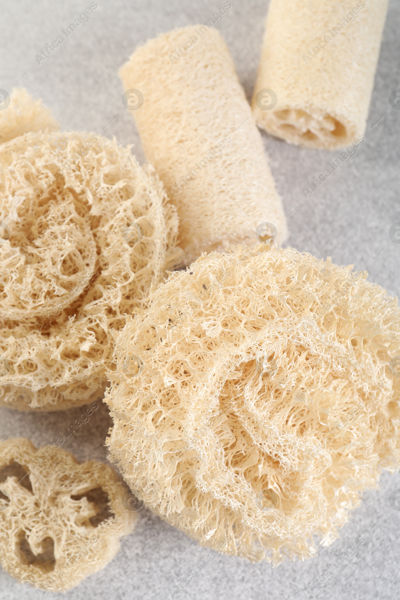 Different loofah sponges on light grey table, above view Photo of Different loofah sponges on light grey table, above view