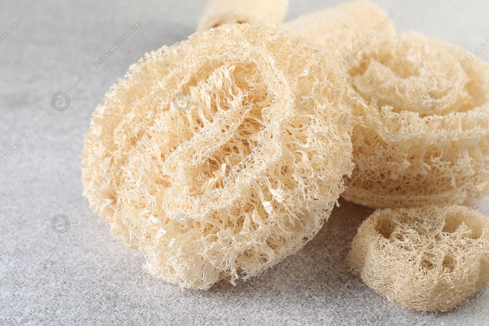 Different loofah sponges on light grey table, closeup Photo of Different loofah sponges on light grey table, closeup