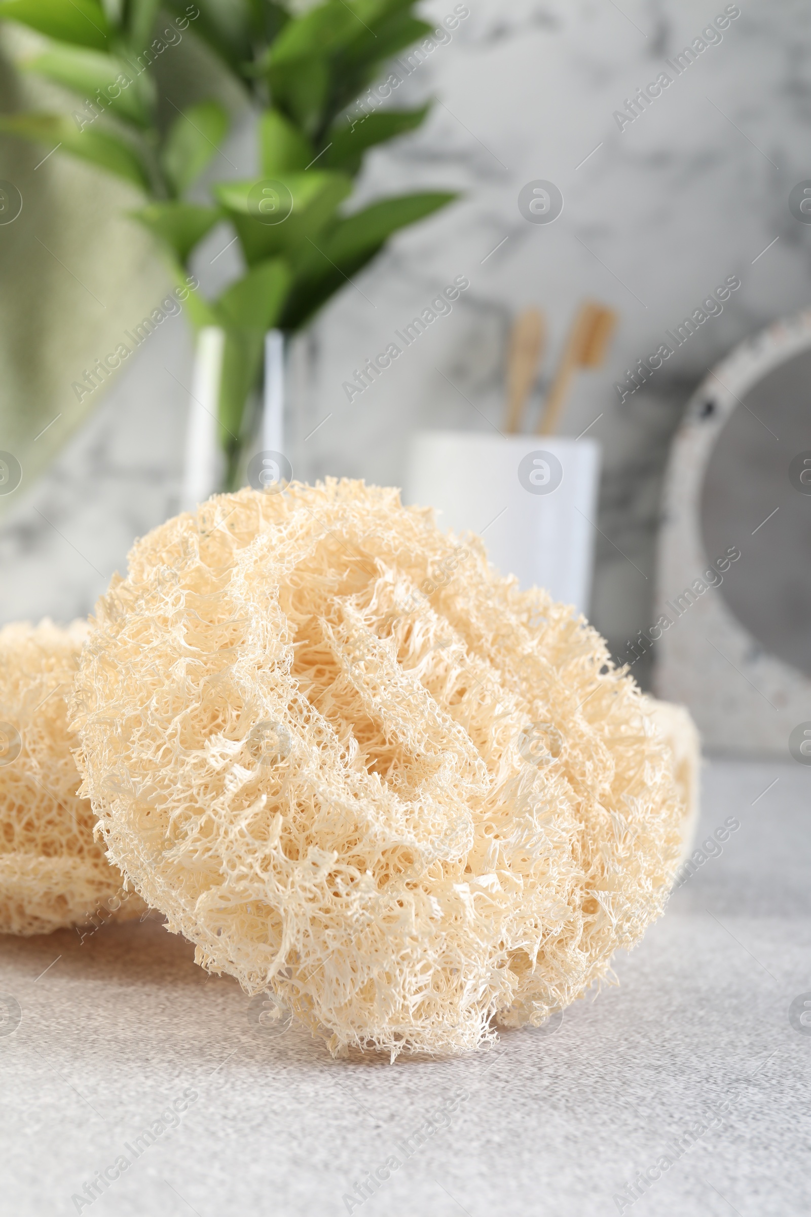 Different loofah sponges on light grey table, closeup Photo of Different loofah sponges on light grey table, closeup