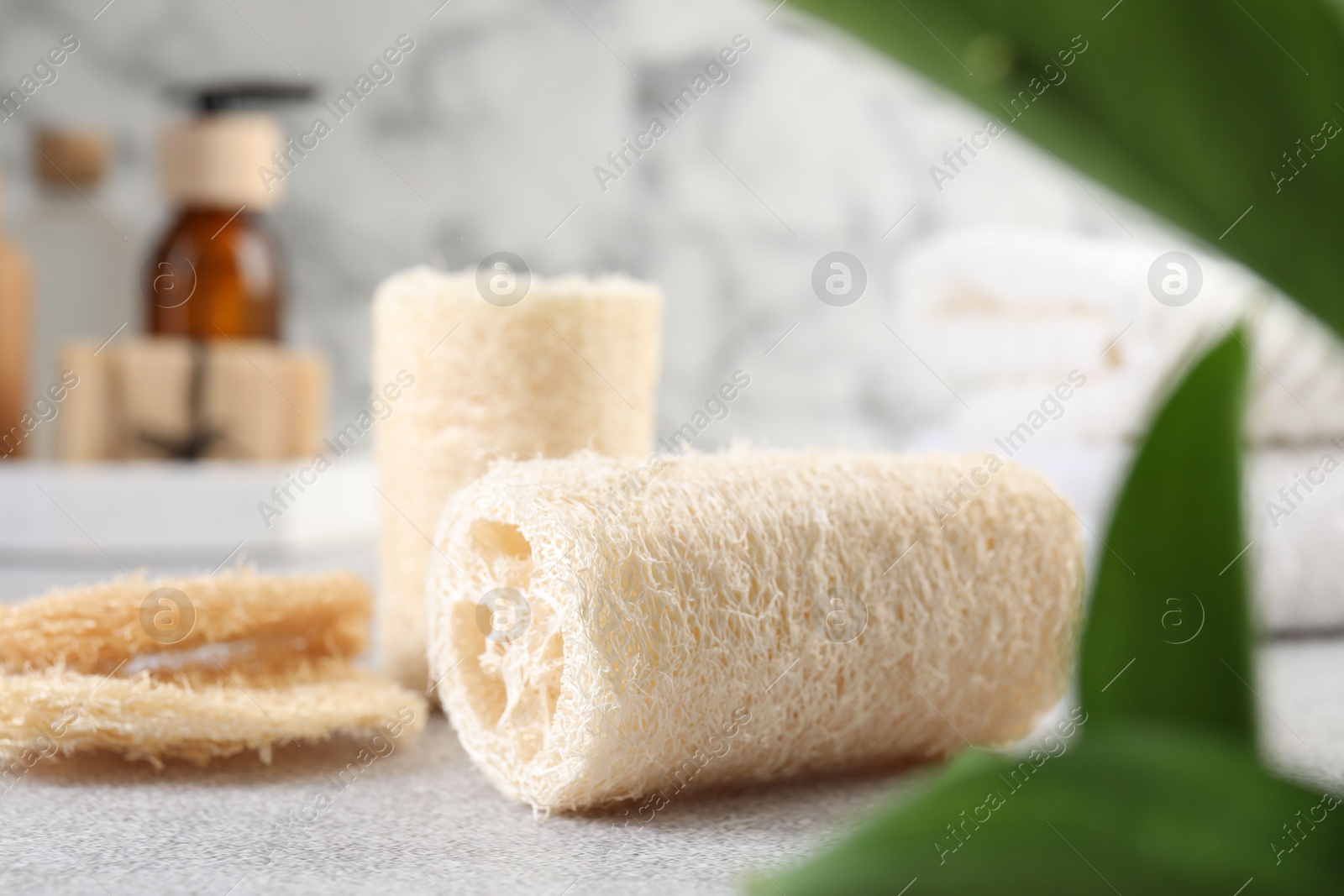 Different loofah sponges and cosmetic products on light grey table, closeup Photo of Different loofah sponges and cosmetic products on light grey table, closeup
