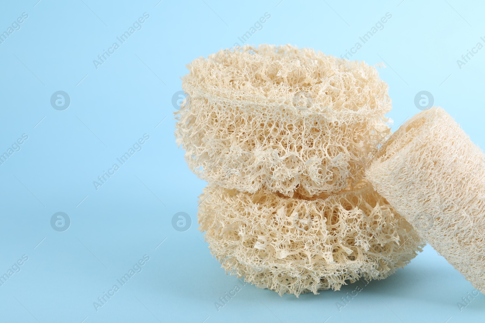 Different loofah sponges on light blue background, closeup. Space for text Photo of Different loofah sponges on light blue background, closeup. Space for text