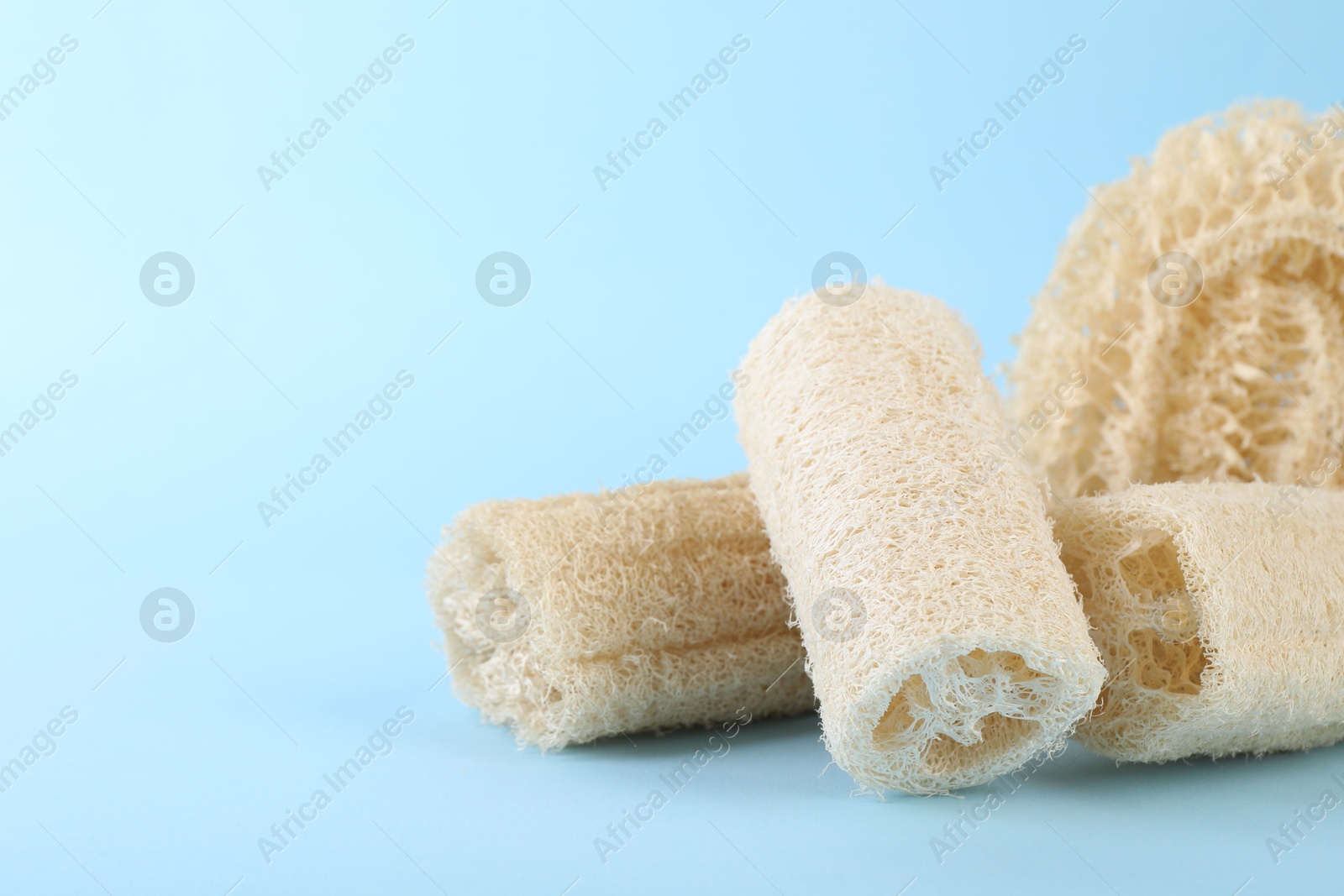 Different loofah sponges on light blue background, closeup. Space for text Photo of Different loofah sponges on light blue background, closeup. Space for text