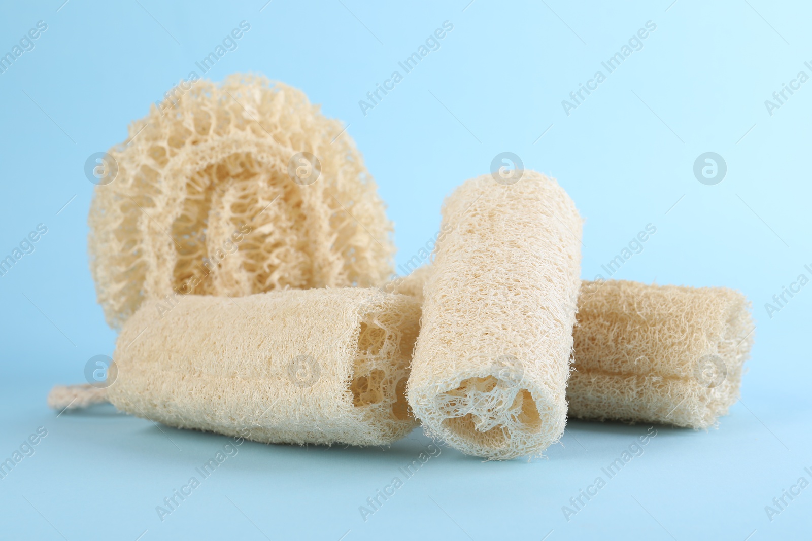 Different loofah sponges on light blue background, closeup Photo of Different loofah sponges on light blue background, closeup