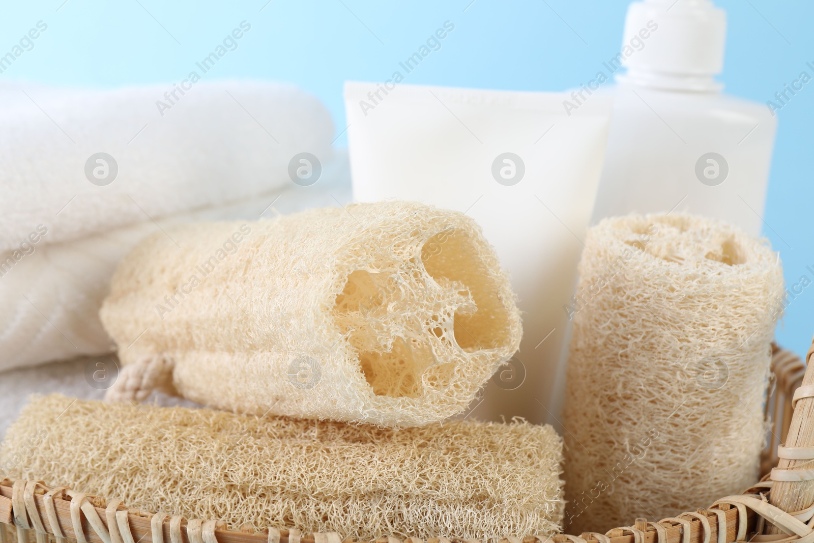 Different loofah sponges, cosmetic products and towels in wicker basket on light blue background, closeup Photo of Different loofah sponges, cosmetic products and towels in wicker basket on light blue background, closeup