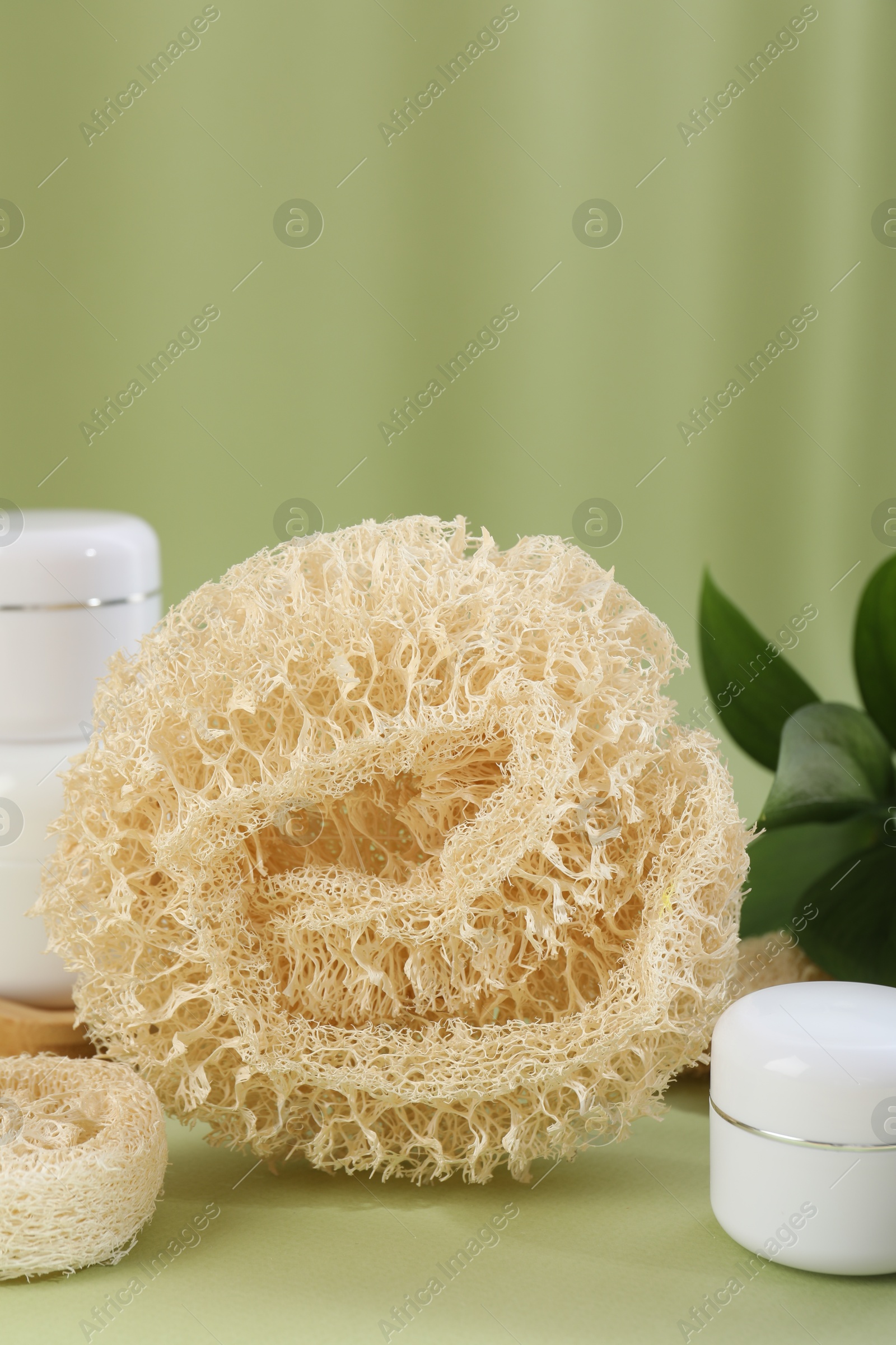 Loofah sponges and jars of cosmetic product on olive background, closeup Photo of Loofah sponges and jars of cosmetic product on olive background, closeup