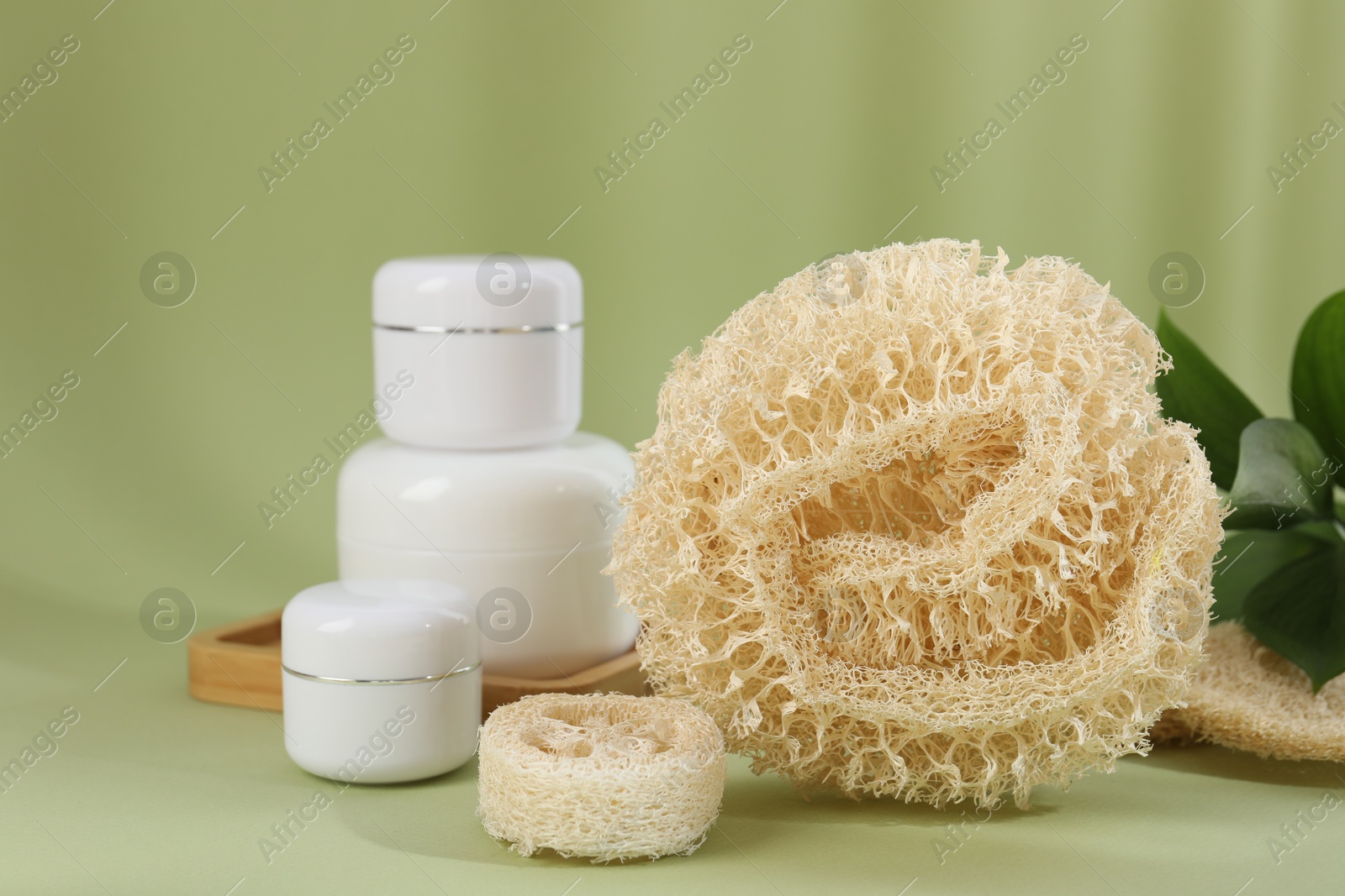 Loofah sponges and jars of cosmetic product on olive background, closeup Photo of Loofah sponges and jars of cosmetic product on olive background, closeup