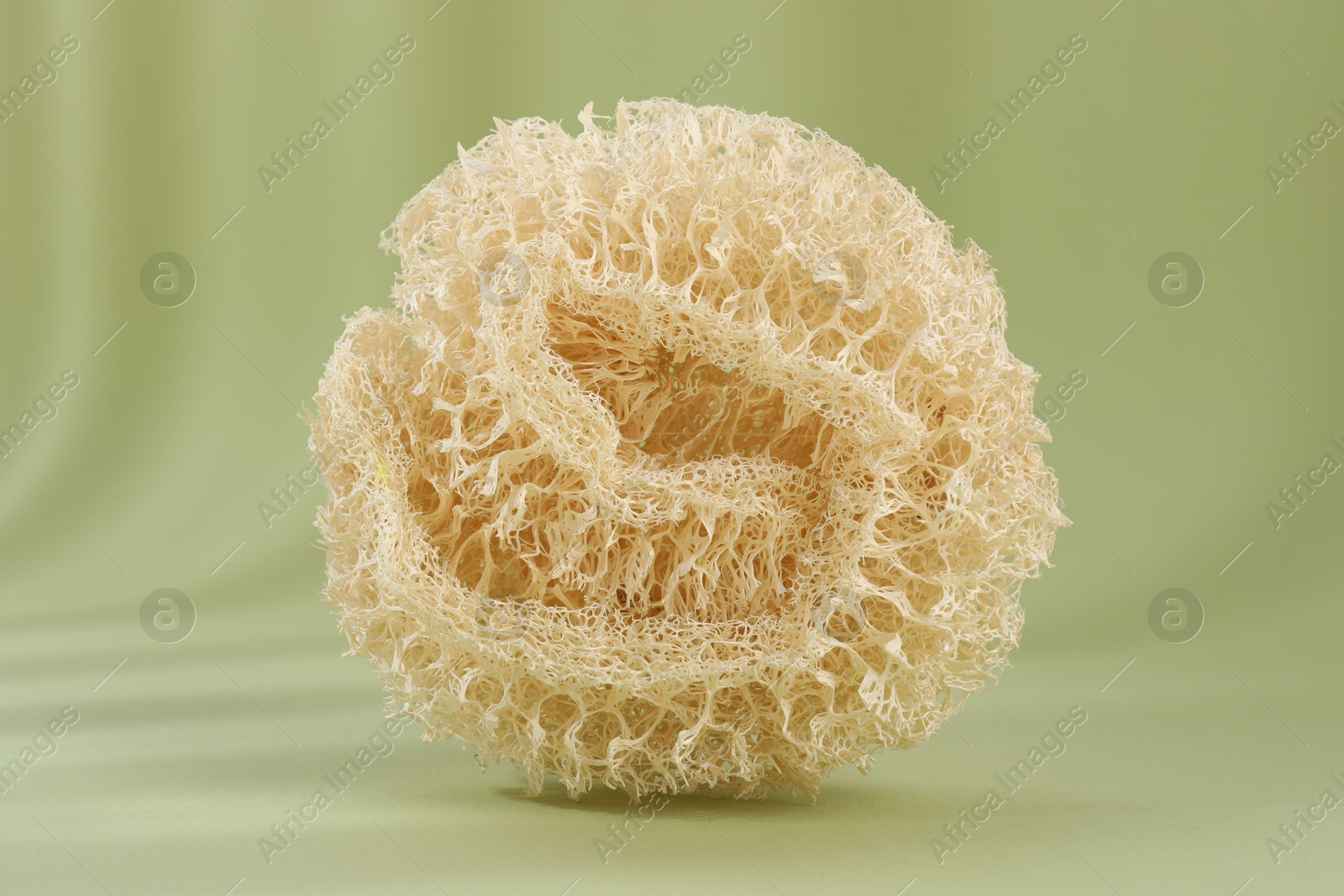 One loofah sponge on olive background, closeup Photo of One loofah sponge on olive background, closeup