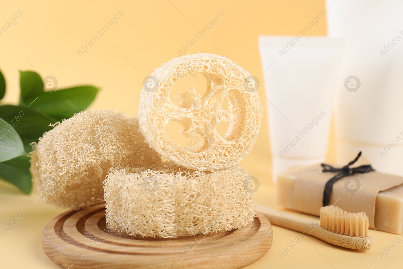 Loofah sponges, toothbrush, tubes of cosmetic product and soap on beige background, closeup Photo of Loofah sponges, toothbrush, tubes of cosmetic product and soap on beige background, closeup