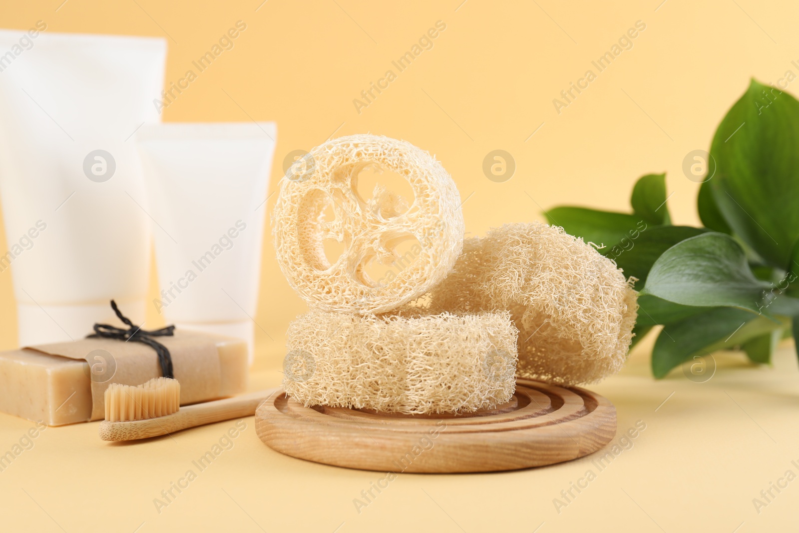 Loofah sponges, toothbrush, tubes of cosmetic product and soap on beige background, closeup Photo of Loofah sponges, toothbrush, tubes of cosmetic product and soap on beige background, closeup