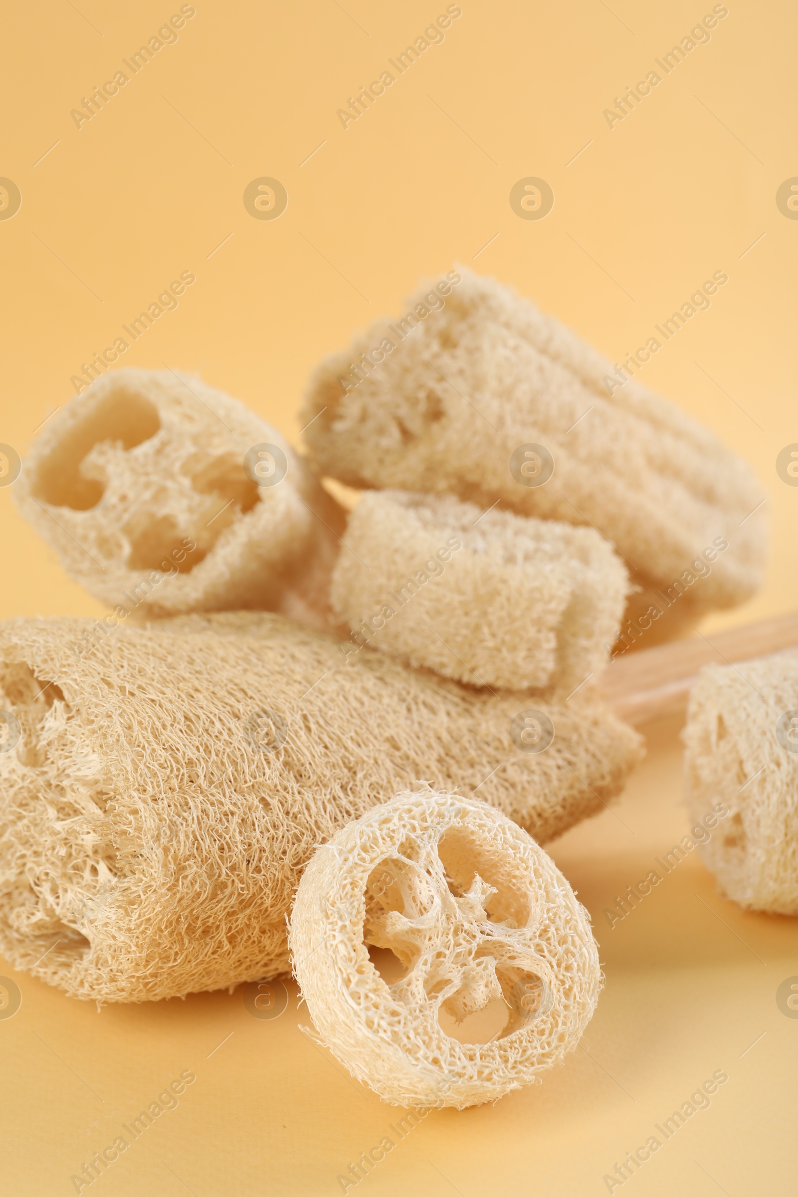 Different loofah sponges on beige background, closeup Photo of Different loofah sponges on beige background, closeup