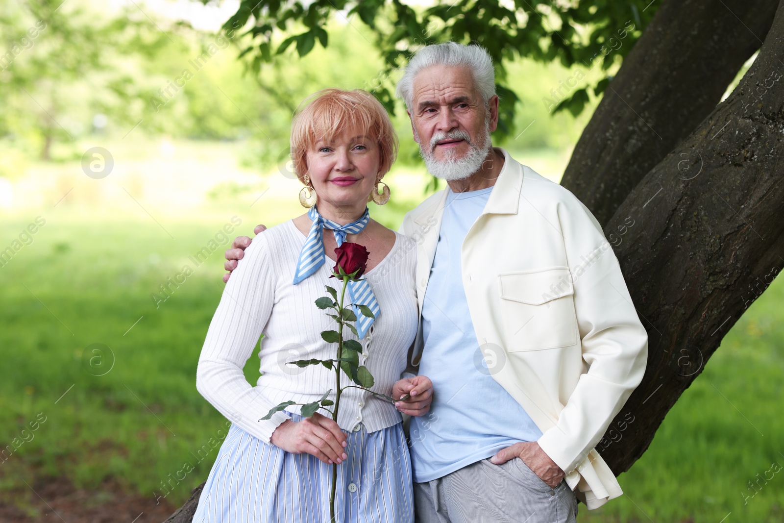Lovely senior couple with rose in park Photo of Lovely senior couple with rose in park
