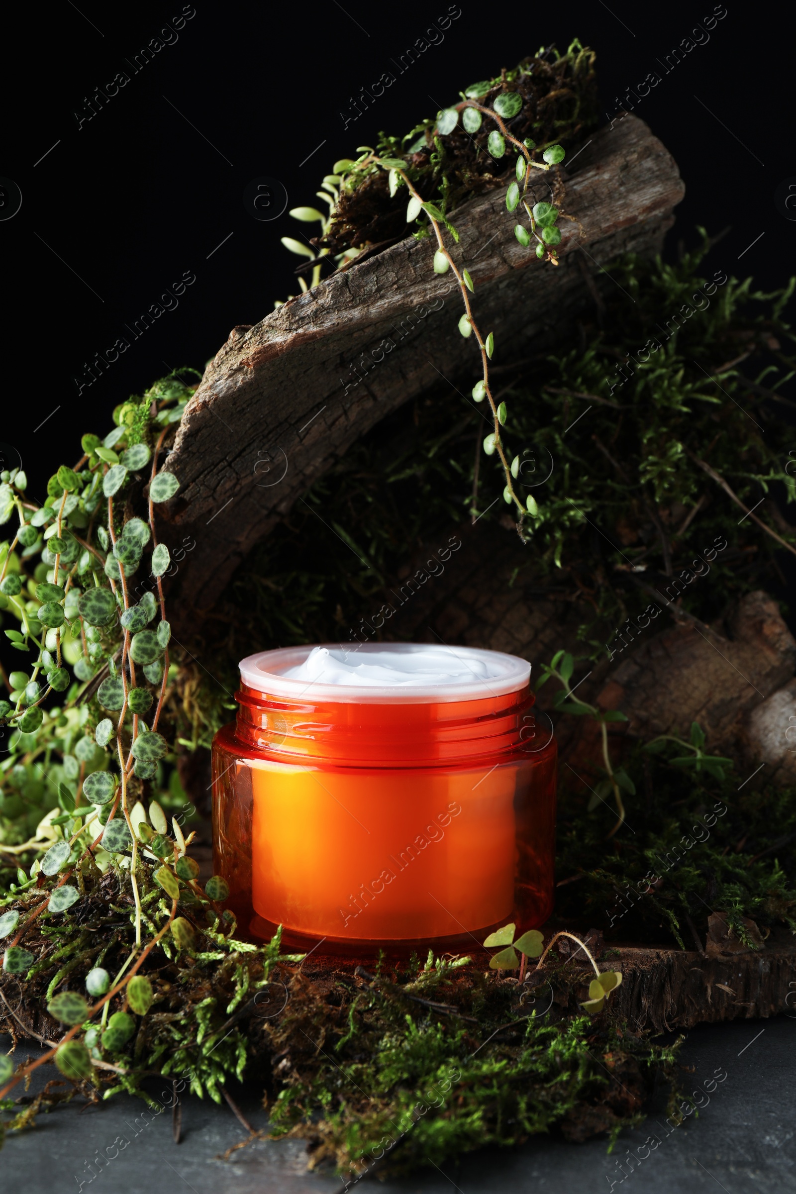 Jar of moisturizing body cream, tree bark and plants on grey table, closeup Photo of Jar of moisturizing body cream, tree bark and plants on grey table, closeup