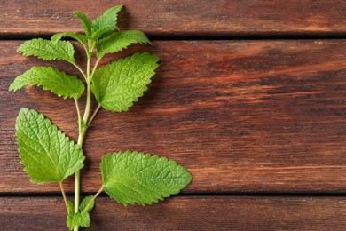 Photo of Fresh lemon balm leaves on wooden table, top view. Space for text