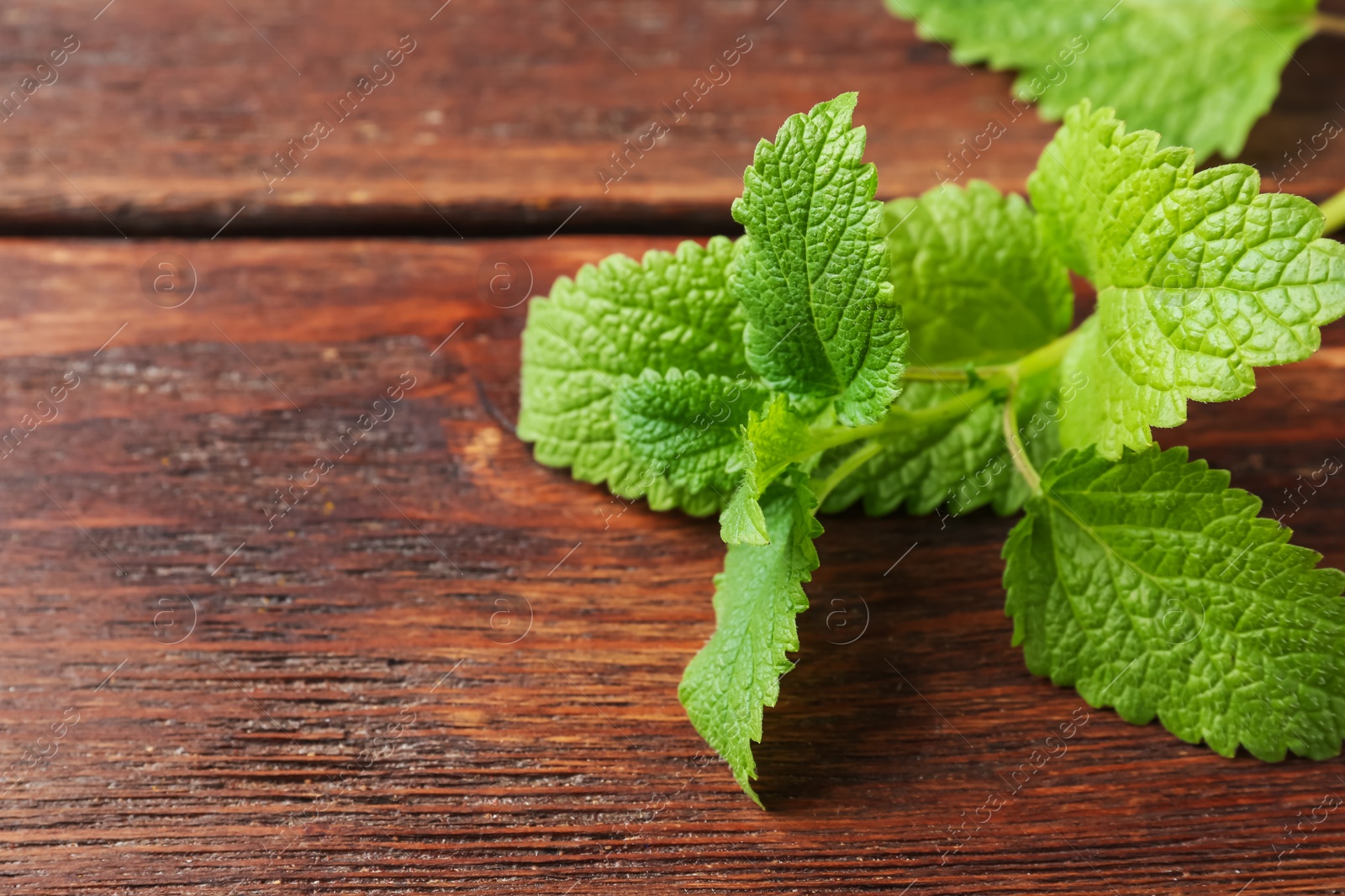 Fresh lemon balm leaves on wooden table, closeup. Space for text Photo of Fresh lemon balm leaves on wooden table, closeup. Space for text