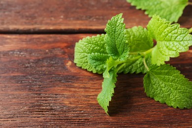 Photo of Fresh lemon balm leaves on wooden table, closeup. Space for text