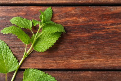 Photo of Fresh lemon balm leaves on wooden table, top view. Space for text