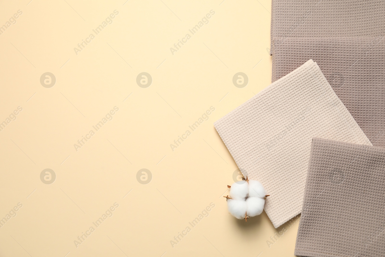 Clean waffle towels and cotton flower on beige background, flat lay. Space for text Photo of Clean waffle towels and cotton flower on beige background, flat lay. Space for text