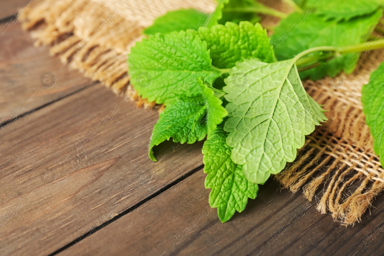Fresh lemon balm leaves on wooden table, closeup. Space for text Photo of Fresh lemon balm leaves on wooden table, closeup. Space for text