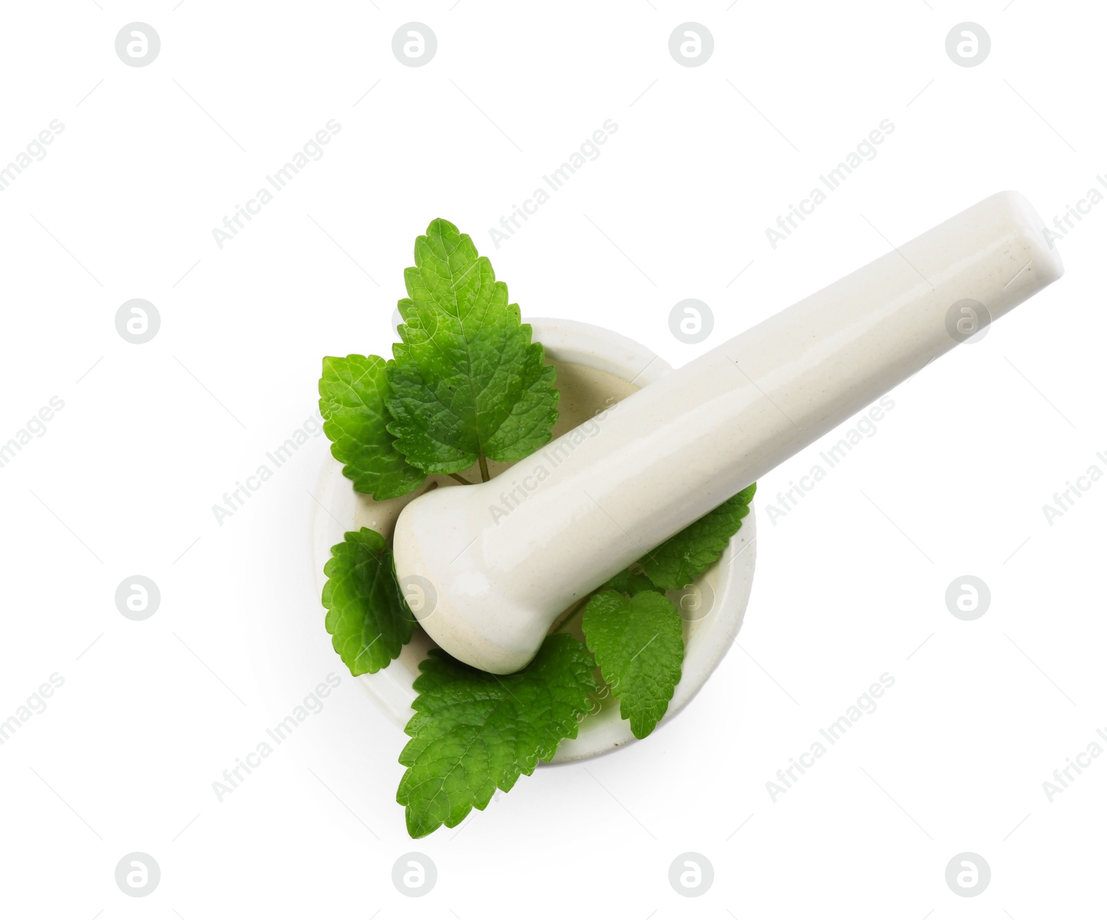 Fresh lemon balm leaves and pestle in mortar isolated on white, top view Photo of Fresh lemon balm leaves and pestle in mortar isolated on white, top view