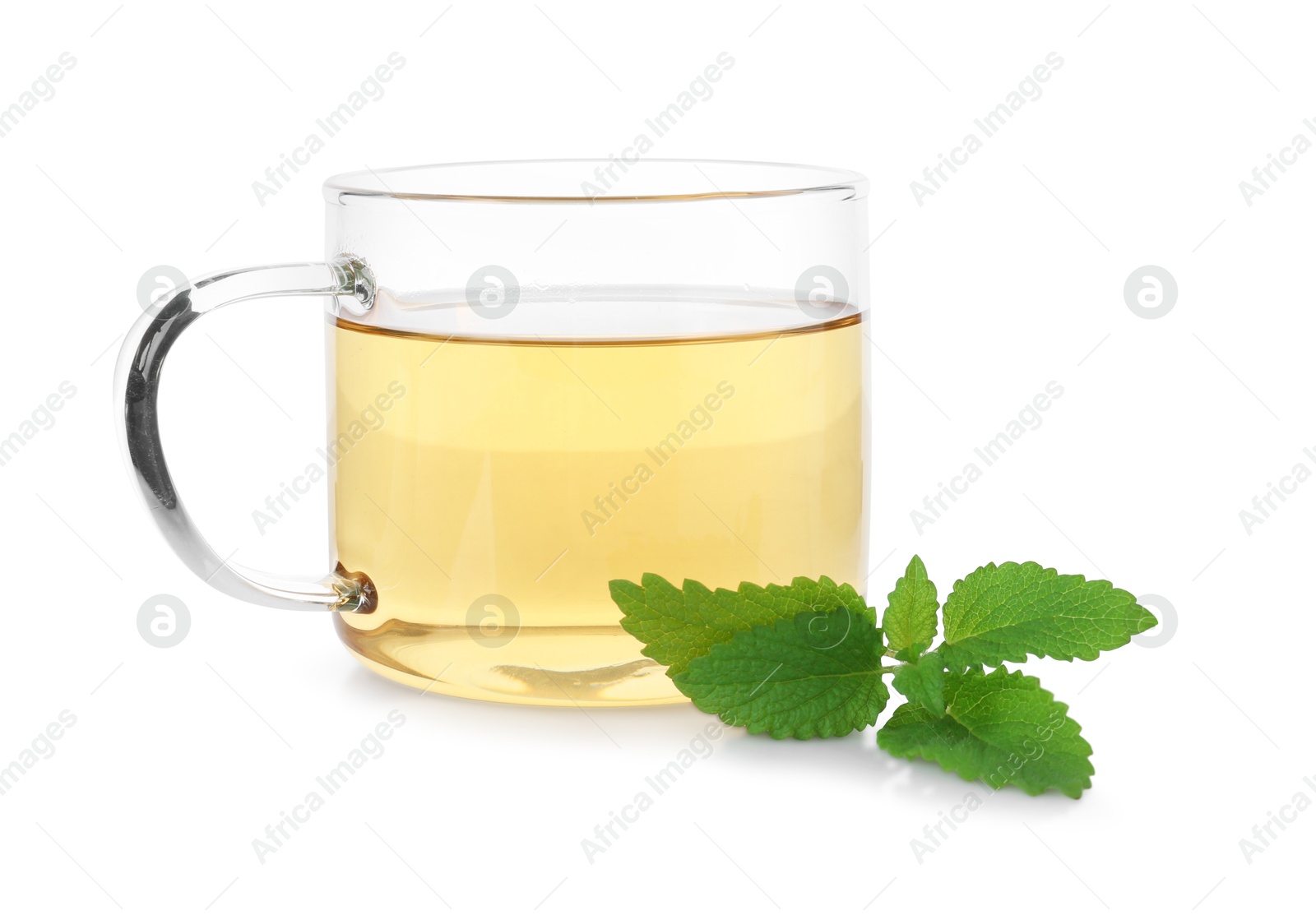 Aromatic lemon balm tea in glass cup and fresh leaves isolated on white Photo of Aromatic lemon balm tea in glass cup and fresh leaves isolated on white