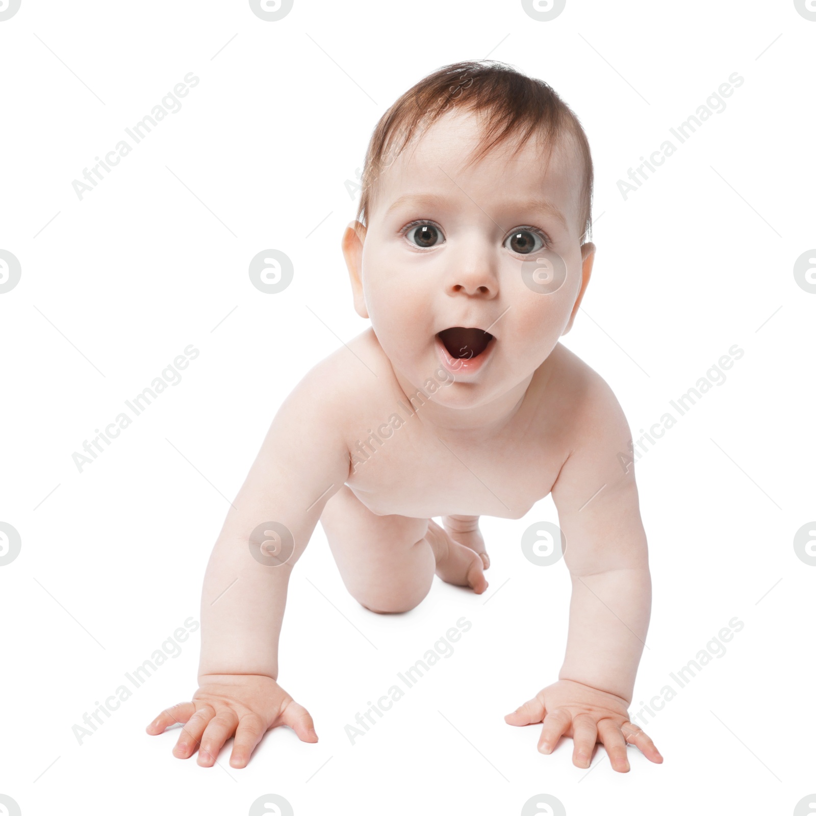 Cute little baby crawling on white background Photo of Cute little baby crawling on white background