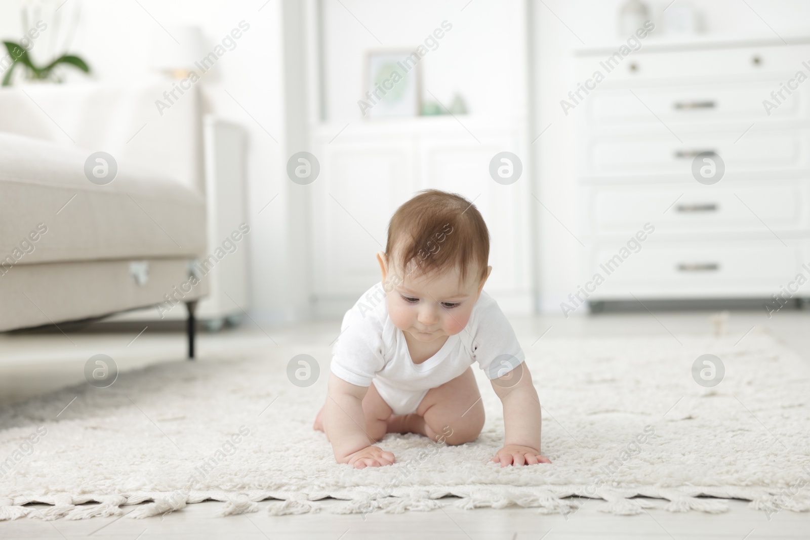 Cute little baby crawling on floor at home Photo of Cute little baby crawling on floor at home