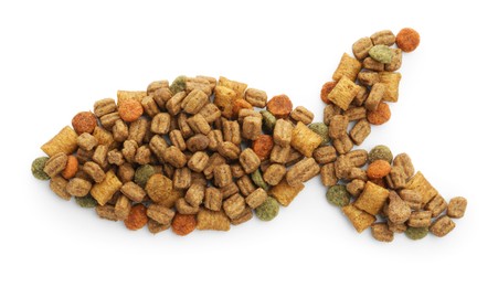 Photo of Fish shape made of dry pet food isolated on white, top view