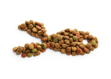 Photo of Fish shape made of dry pet food isolated on white