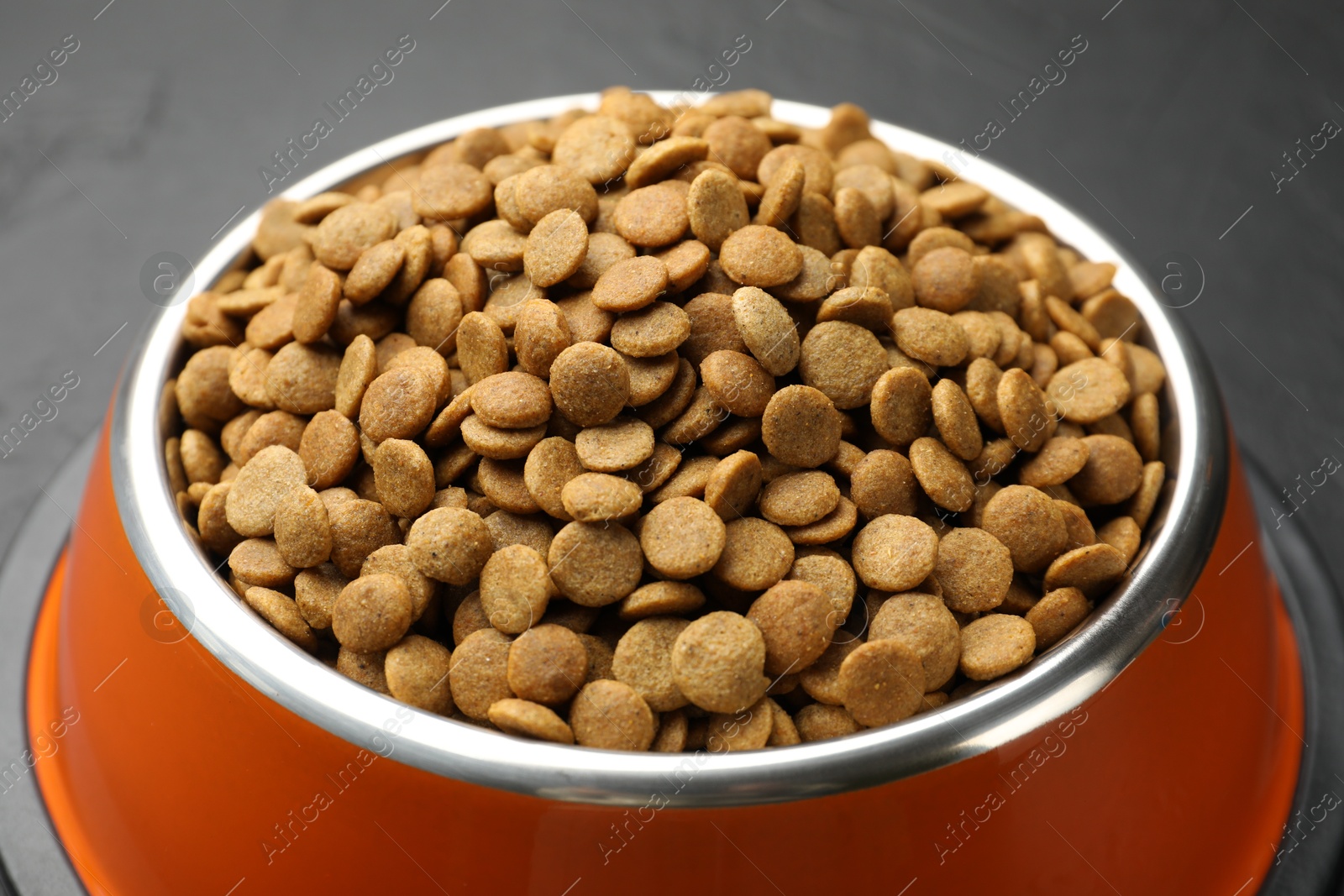 Dry pet food in feeding bowl on dark background, closeup Photo of Dry pet food in feeding bowl on dark background, closeup