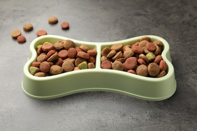 Photo of Dry pet food in feeding bowl on gray textured background, closeup