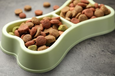 Photo of Dry pet food in feeding bowl on gray textured background, closeup
