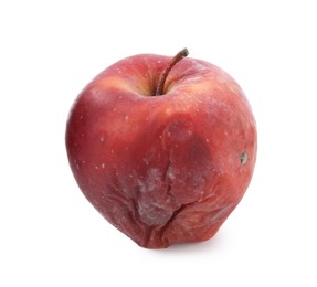 Photo of One rotten red apple isolated on white