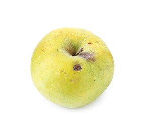Photo of One damaged green apple isolated on white