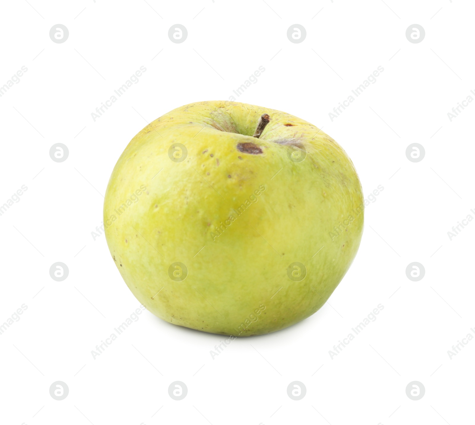One damaged green apple isolated on white Photo of One damaged green apple isolated on white