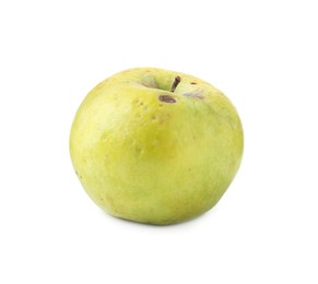 Photo of One damaged green apple isolated on white