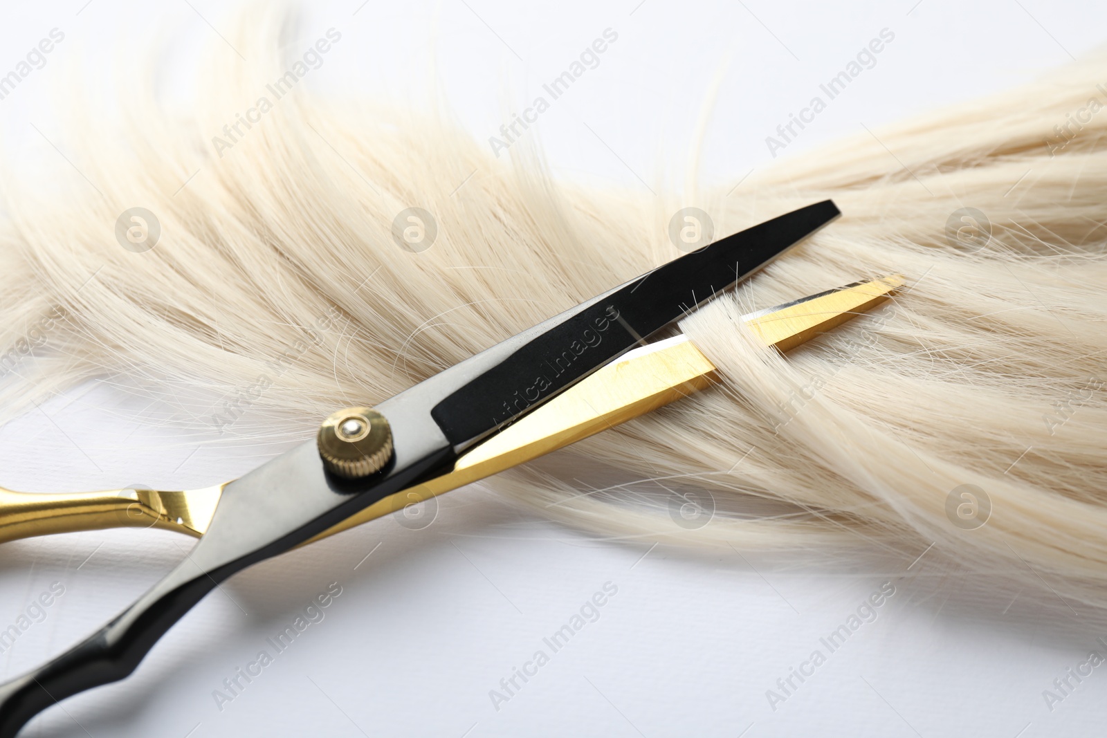 Hair lock and scissors on white background, closeup Photo of Hair lock and scissors on white background, closeup