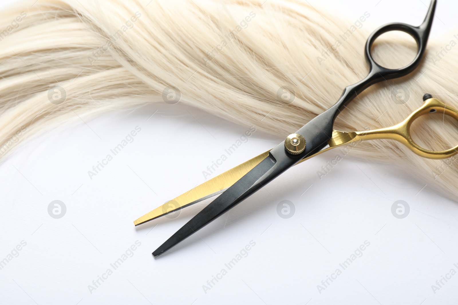 Hair lock and scissors on white background, above view Photo of Hair lock and scissors on white background, above view