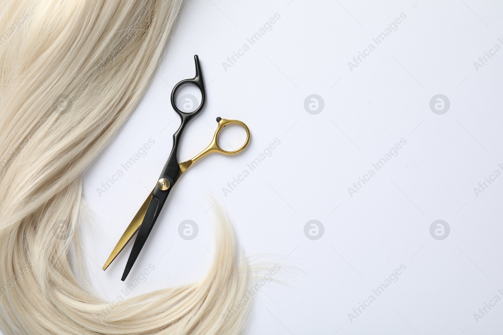 Hair lock and scissors on white background, flat lay. Space for text Photo of Hair lock and scissors on white background, flat lay. Space for text