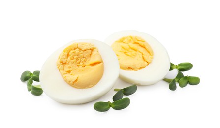 Photo of Halves of hard boiled eggs with microgreens isolated on white